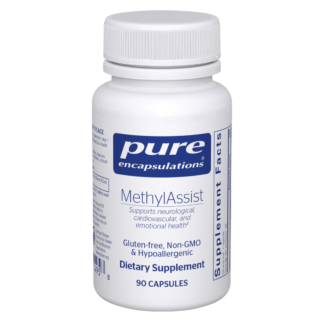 MethylAssist